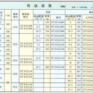 DTⅡ型傳動(dòng)滾筒
